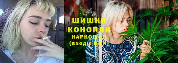 сатива Кукмор